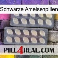 Black Ant Pills 07